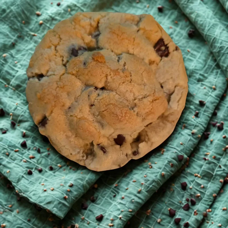Classic Chocolate Chip 6oz